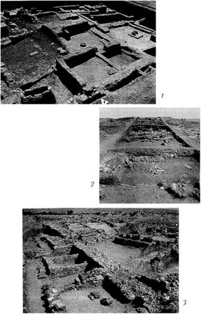 Раскопки поселений древних земледельцев и скотоводов (палеометаллическая эпоха).