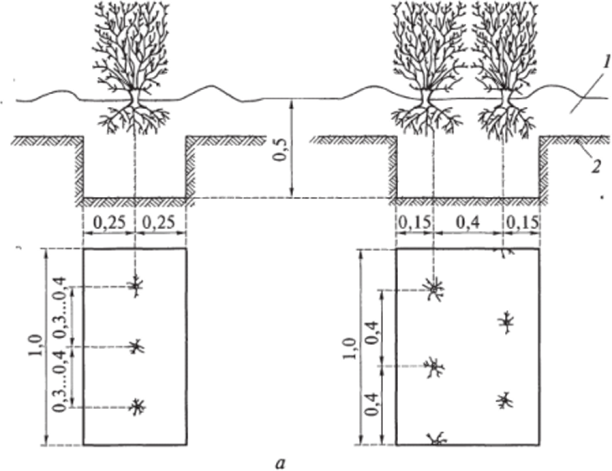 Схемы посадки кустарников (размеры указаны в м).