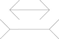 Иллюзия Мюллера – Лаера (прямые равны).