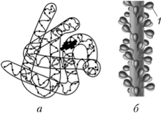 Третичная структура белка.