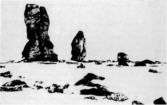 Гранитные останцы криогенного выветривания — кигилляхи (о. Четырехстолбовый в архипелаге Северная Земля.