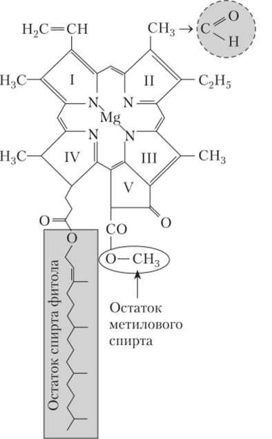Структурная формула хлорофилла а и хлорофилла Ь.