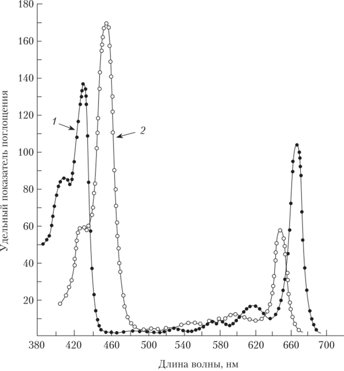 Спектры поглощения хлорофиллов а (1) и b (2) в эфире.