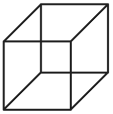 Одна из первых описанных в литературе многозначных фигур — куб Неккера.