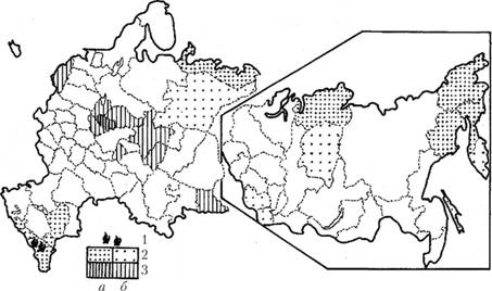 Типы самых неблагополучных районов России в середине 1990;х гг. (по А. И. Трсйвишу, Т. Г. Нефедовой).