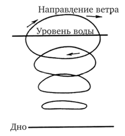 Характер орбит волновых частиц в волне мелководья (по Н. Е. Кондратьеву).
