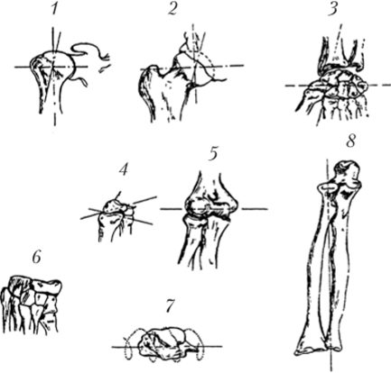 Виды суставов, различных по форме и числу осей вращения.
