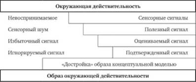 Модель перцептивного аппарата человека (по А. П. Ксендзюку, 2002).