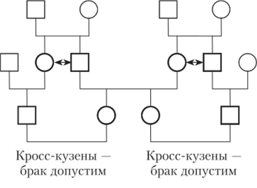 Схема, иллюстрирующая тип родства, при котором родственники называются кросс-кузенами.