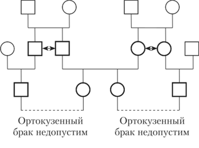 Схема, иллюстрирующая тип родства, при котором родственники называются ортокузенами.