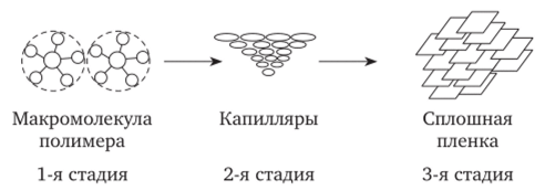 Механизм пленкообразования из дисперсий полимеров.