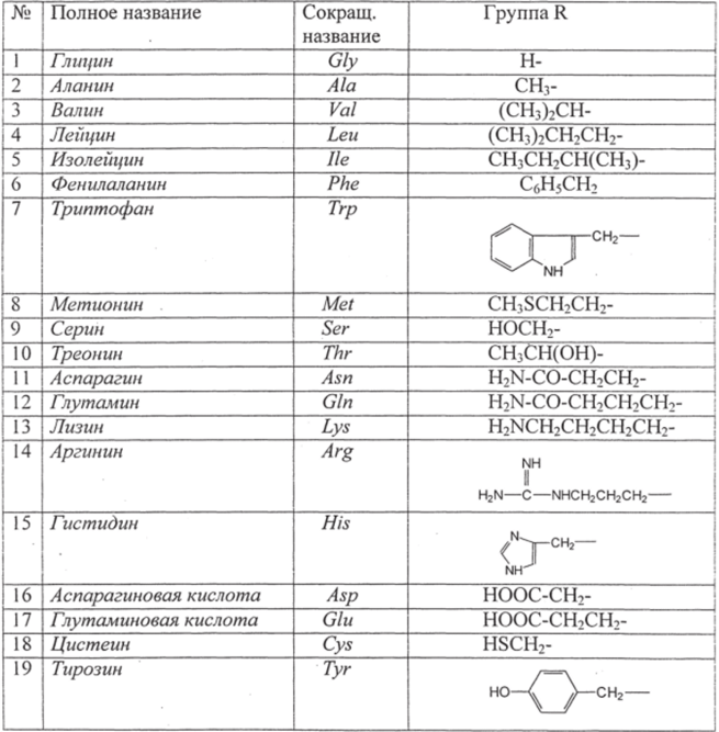 Реферат На Тему Аминокислоты Химия