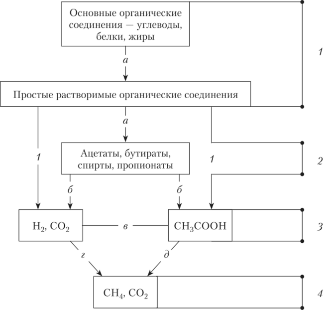 Схема механизма метанового сбраживания.