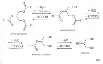 Реакции ацилглицеринов с участием сложноэфирных групп.