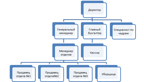 Реорганизованная структура организации.