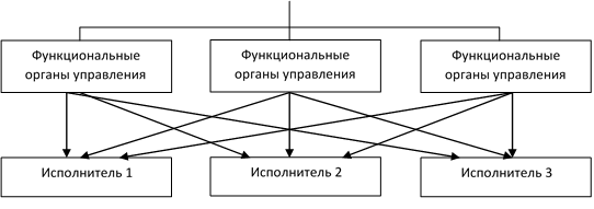 Функциональная структура управления.