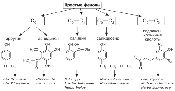 Кумарины - природные соединения, в основе структуры которых лежит 9,10-бензо-a-пирон.