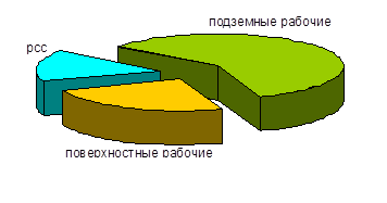 Диаграмма структуры численности по категориям 2007 год.