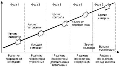Модель жизненного цикла организаций по Грейнеру.