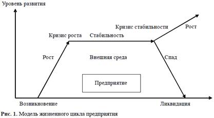 Анализ жизненного цикла организации.