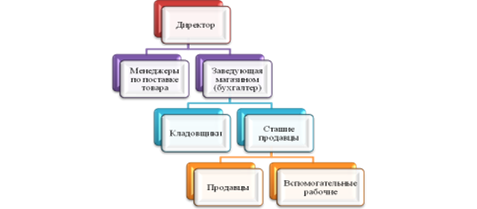 Организационная структура ООО «Строй-групп-сервис».