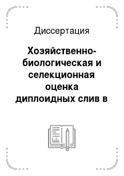 Диссертация: Хозяйственно-биологическая и селекционная оценка диплоидных слив в условиях Московской области