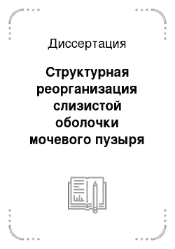 Диссертация: Структурная реорганизация слизистой оболочки мочевого пузыря при хроническом цистите и его коррекции