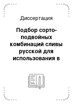 Диссертация: Подбор сорто-подвойных комбинаций сливы русской для использования в интенсивных технологиях возделывания