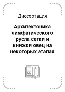 Диссертация: Архитектоника лимфатического русла сетки и книжки овец на некоторых этапах постнатального онтогенеза