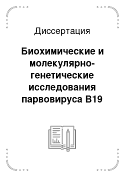 Диссертация: Биохимические и молекулярно-генетические исследования парвовируса В19 при оценке безопасности препаратов альбумина и иммуноглобулина