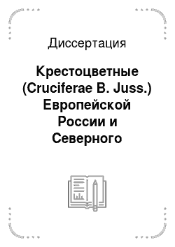 Диссертация: Крестоцветные (Cruciferae B. Juss.) Европейской России и Северного Кавказа