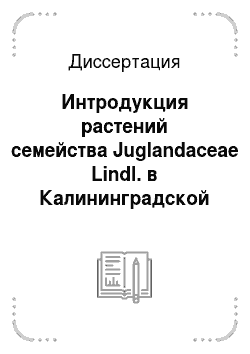 Диссертация: Интродукция растений семейства Juglandaceae Lindl. в Калининградской области
