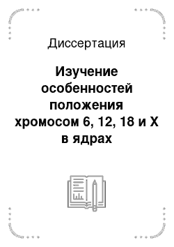 Диссертация: Изучение особенностей положения хромосом 6, 12, 18 и X в ядрах мезенхимных стволовых клеток в зависимости от направления дифференцировки и сроков культивирования