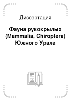 Диссертация: Фауна рукокрылых (Mammalia, Chiroptera) Южного Урала
