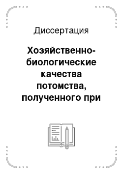 Диссертация: Хозяйственно-биологические качества потомства, полученного при скрещивании маток ставропольской породы с баранами австралийский мясной меринос в типе «Dohne Merino»