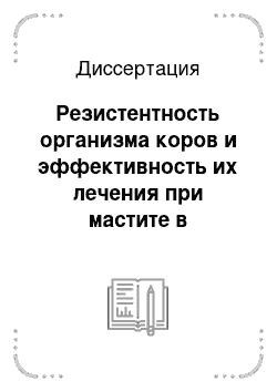 Диссертация: Резистентность организма коров и эффективность их лечения при мастите в лактационный период