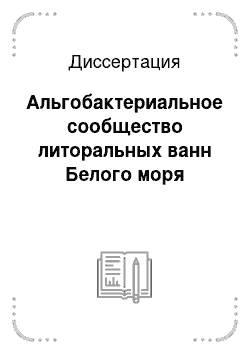 Диссертация: Альгобактериальное сообщество литоральных ванн Белого моря