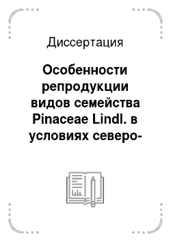Диссертация: Особенности репродукции видов семейства Pinaceae Lindl. в условиях северо-запада таежной зоны России
