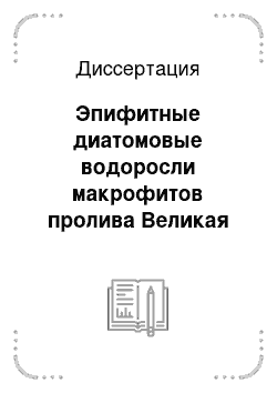 Диссертация: Эпифитные диатомовые водоросли макрофитов пролива Великая Салма