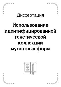 Диссертация: Использование идентифицированной генетической коллекции мутантных форм томата для создания исходного селекционного материала по признаку холодостойкости