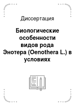 Диссертация: Биологические особенности видов рода Энотера (Oenothera L.) в условиях культуры на Среднем Урале