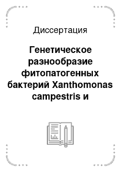 Диссертация: Генетическое разнообразие фитопатогенных бактерий Xanthomonas campestris и устойчивость к ним растений семейства Brassicaceae