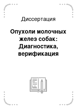 Диссертация: Опухоли молочных желез собак: Диагностика, верификация