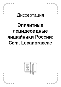 Диссертация: Эпилитные лецидеоидные лишайники России: Cem. Lecanoraceae