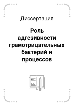 Диссертация: Роль адгезивности грамотрицательных бактерий и процессов свободнорадикального окисления в развитии инфекции мочевой системы у детей группы риска