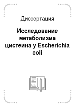 Диссертация: Исследование метаболизма цистеина у Escherichia coli