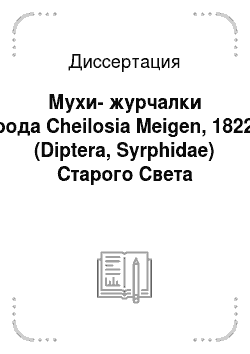Диссертация: Мухи-журчалки рода Cheilosia Meigen, 1822 (Diptera, Syrphidae) Старого Света