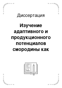 Диссертация: Изучение адаптивного и продукционного потенциалов смородины как исходного материала для селекции и улучшения сортимента