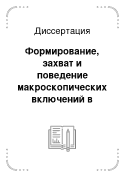 Диссертация: Формирование, захват и поведение макроскопических включений в процессе кристаллизации расплава с примесью