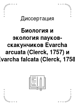 Диссертация: Биология и экология пауков-скакунчиков Evarcha arcuata (Clerck, 1757) и Evarcha falcata (Clerck, 1758) Южного Урала